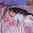 Beba je bespomoćno ležala na krevetu, a ono što je mačka učinila ćete promatrati u čudu