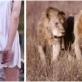 12-godišnju djevojčicu su oteli i zlostavljali nepoznati muškarci, a onda su je okružili lavovi i uč...