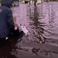 Dramatična snimka hrabrog sina kako spašava majku iz poplave na Floridi