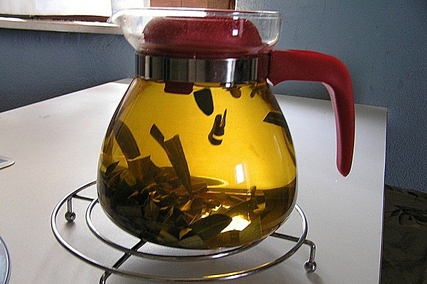 U BIBLIJI SE SPOMINJE 1000 PUTA: Skuhajte čaj koji liječi od najtežih bolesti