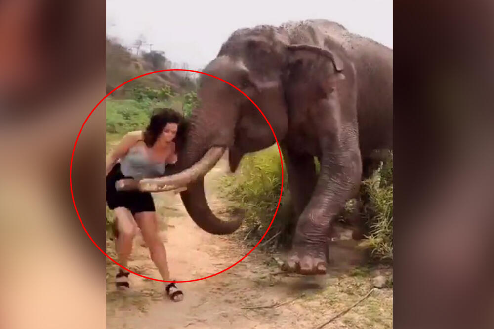 UZNEMIRUJUĆI SNIMAK: Devojka provocirala slona, a onda je grdosija izgubila strpljenje! DRUGARICI OD UŽASA ISPALA KAMERA (VIDEO)