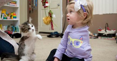Djevojčica (2) je nakon teške operacije poželjela mačku: Majka se rasplakala kada je vidjela koju je izabrala!